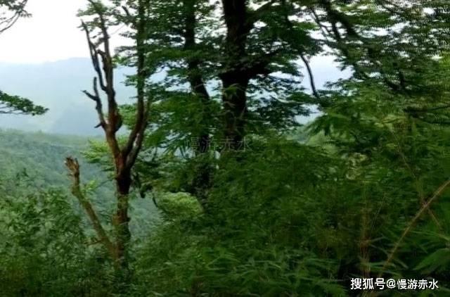 航海王