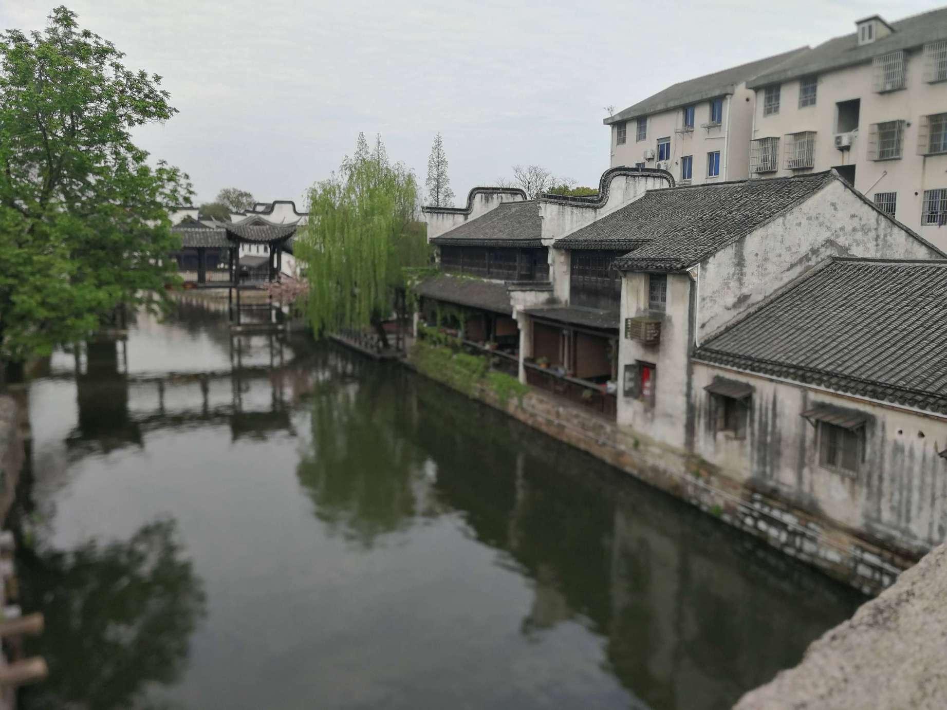 美研究：长期缺勤现象持续困扰美国教育系统 学生逃课率“高得惊人”